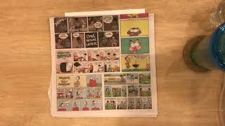 Comic Strip: Understanding the Terms in Comics Video #1: (4th Grade)