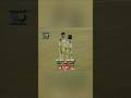wasim akram's turning point in the 1992 world cup. #cricket