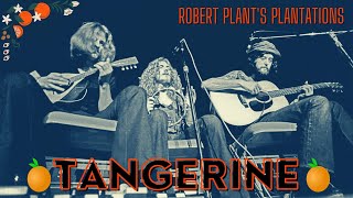 Robert Plant's Plantations: Tangerine 🍊