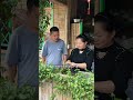 People in Sichuan don t know time#Let s go dig wild vegetables#It s time to dig wild veget