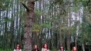 7 Icons  Cinta Cuma Satu Anniversary 10'th in 2020