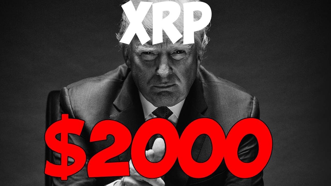 Ripple XRP ДОНАЛЬД ТРАМП БЕРЕТ КОЛЕСО Г-Н ПУЛ ПОДТВЕРДИЛ ПЛАН Б ДЭВИД ШВАРЦ ВНИМАНИЕ!!!