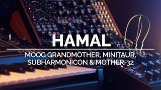 Hamal | Generative Ambient Moog Grandmother, Minitaur, Mother-32 & Subharmonicon
