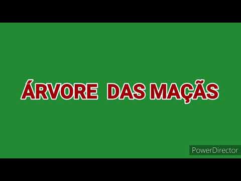 Vídeo: Colher Maçãs Da árvore De Um Vizinho