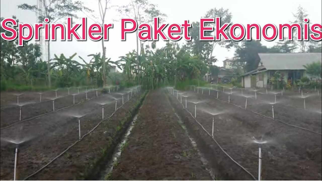 Lokasi3 bagian Timur , Test Sprinkler paket Ekonomis