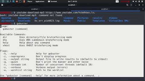 Tryhackme ConvertMyVideo Walkthrough