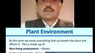 Plant and environment