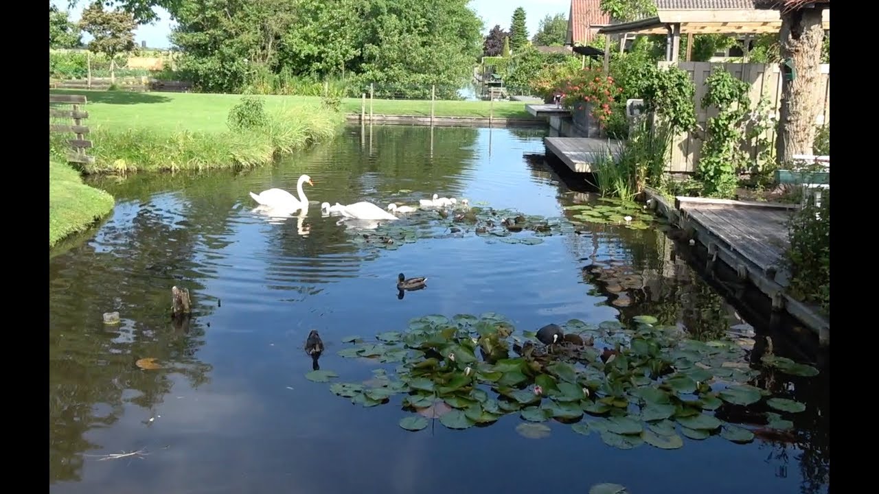 De Achtertuin van Jan Wolk... Rob van Hoogdalem - YouTube