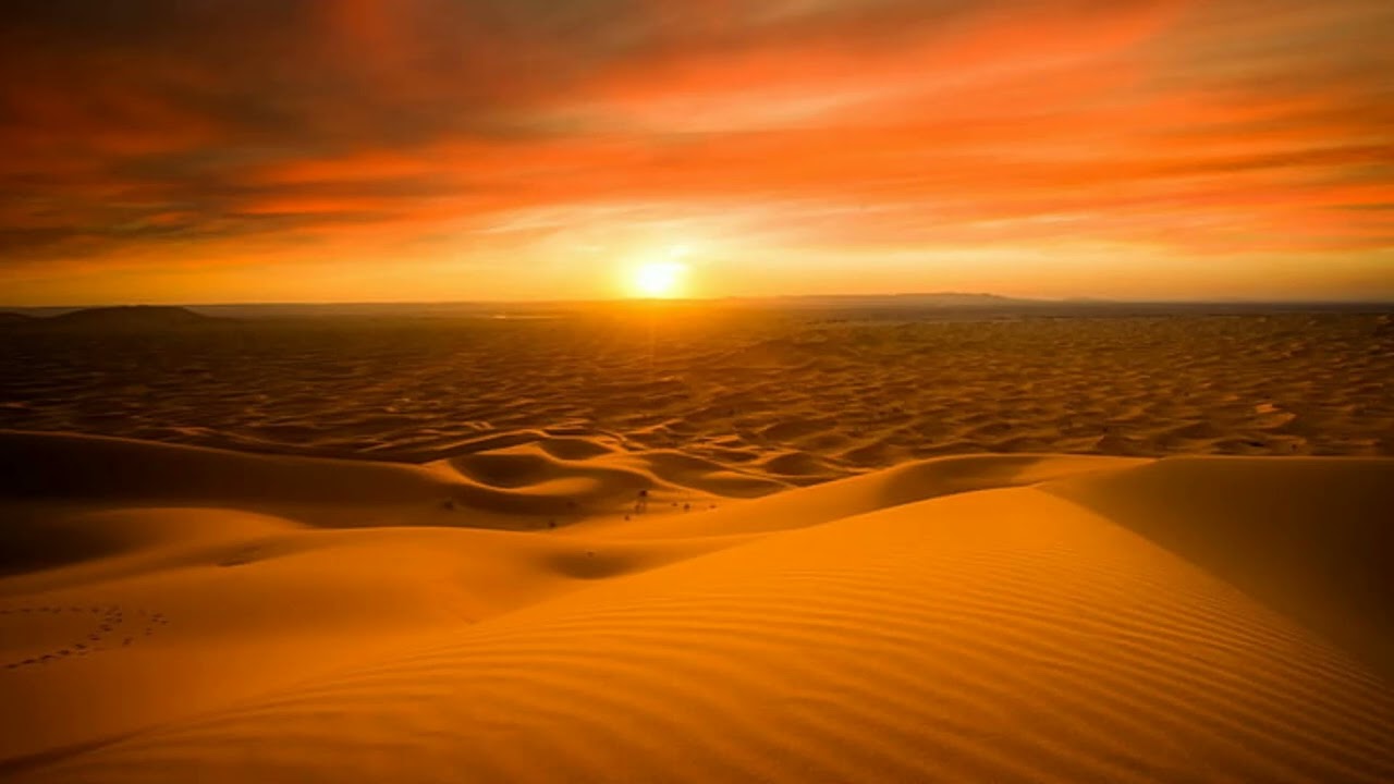 Desert landscape.