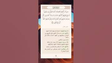 سورة المنافقين أية (٤) #نرتقي_بالتعلم