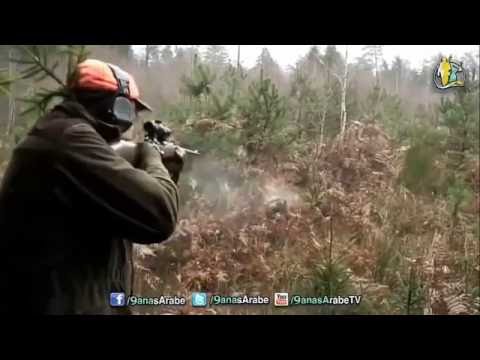 ტახზე ნადირობა|10 საუკეთესო გასროლა|taxze nadiroba