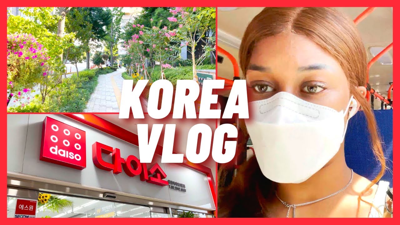 Day In The Life Korea VLOG || Running Errands, Cooking, Cleaning, Etc ...