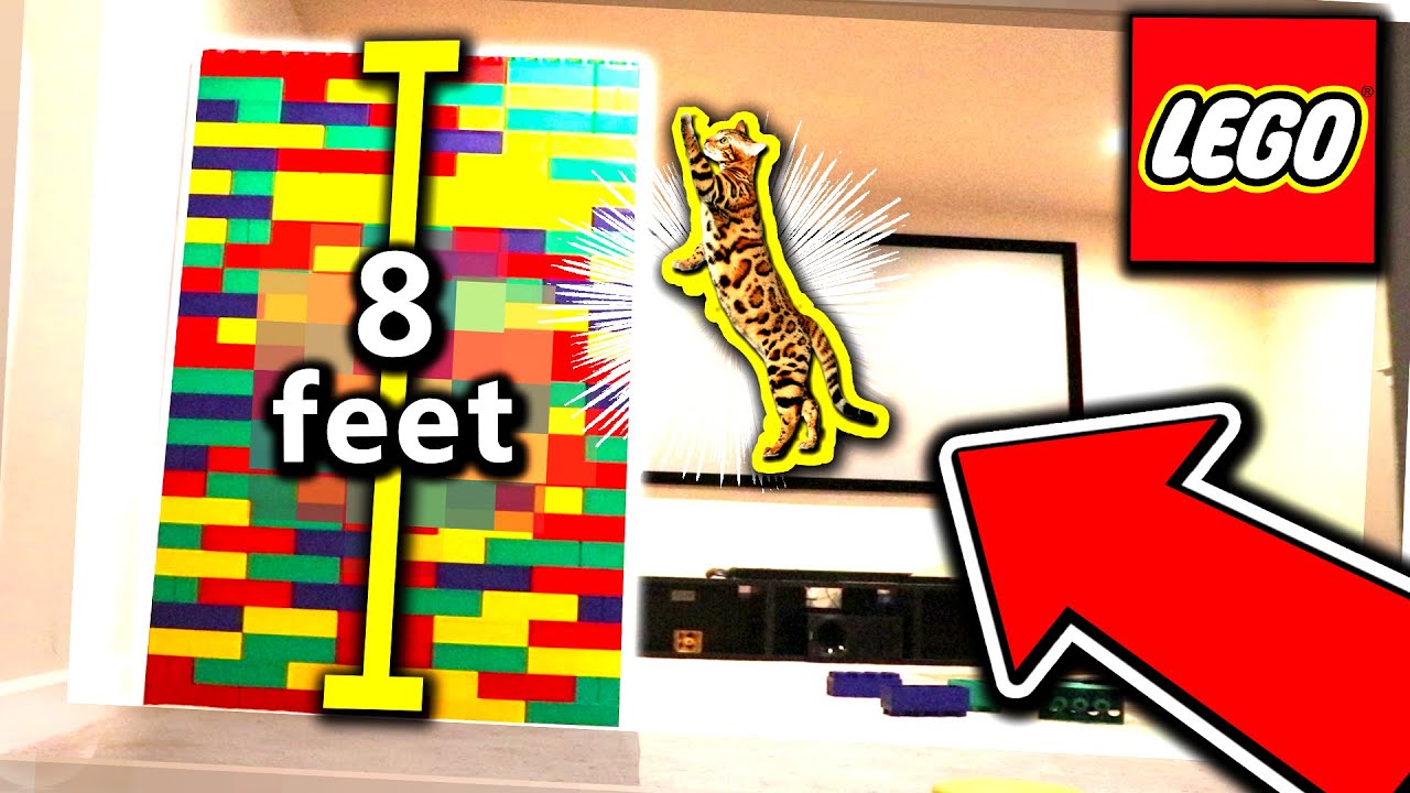 CAT VS GIANT LEGO TOWER! Can a cat really jump 8ft?