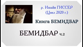 Ишайя Гиссер - Бемидбар 2. Перепись населения в ияре (2020)