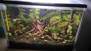 Lampada nemo light 18w