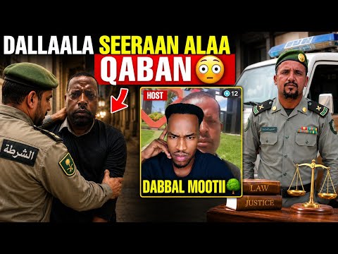 Dallaala Seeraan Alaa Qaban😳