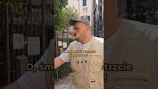 Szczur Wyskoczył Prosto Na Mnie