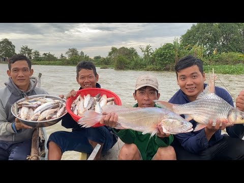 Video Thử Thách 100h Săn Bắt 3 Tỉnh Miền Tây (tập 1 Cần Thơ... - youtube