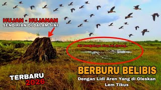 Memikat belibis dengan teknik pulut..‼️  Dapat banyak cuma mengoleskan lidi aren dengan lem tikus..