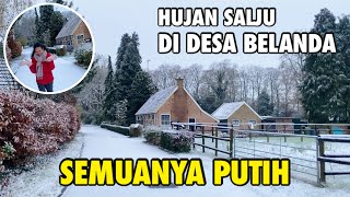 SNOW FALLS FOR A BRIEF BUT IMMEDIATELY TURNS ALL WHITE | SNOWING IN THE NETHERLANDS