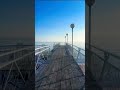 Факт #top #shorts #shortvideo