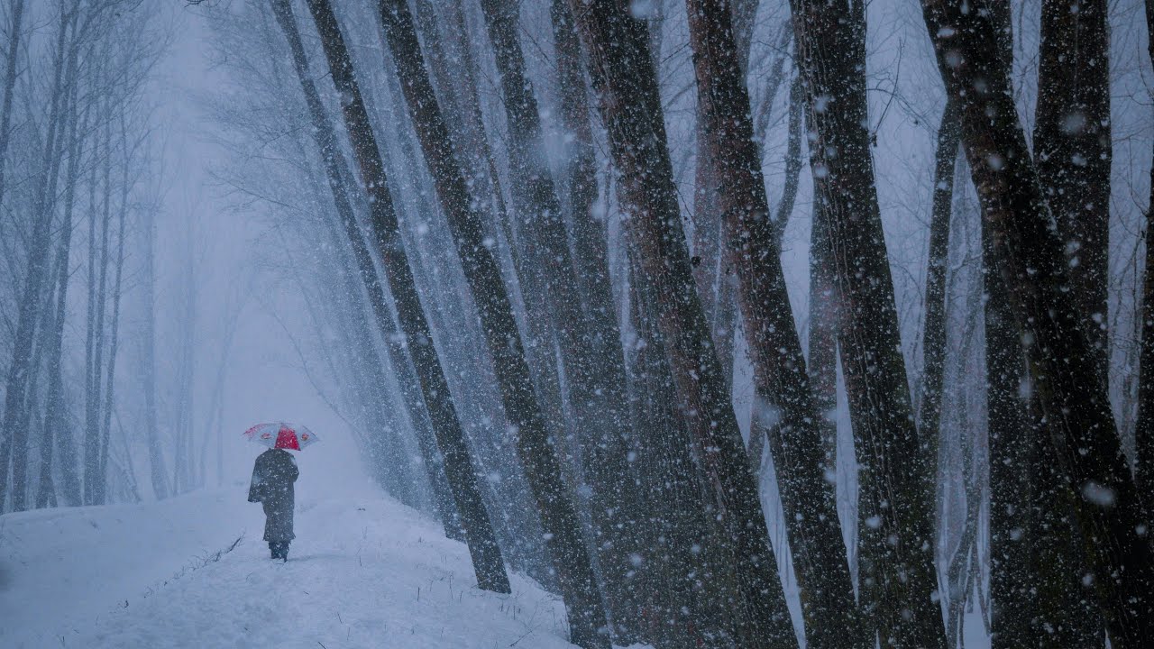 Visiting Central university of Kashmir Green Campus after little snowfall. Admission CUET UG/PG TIPS