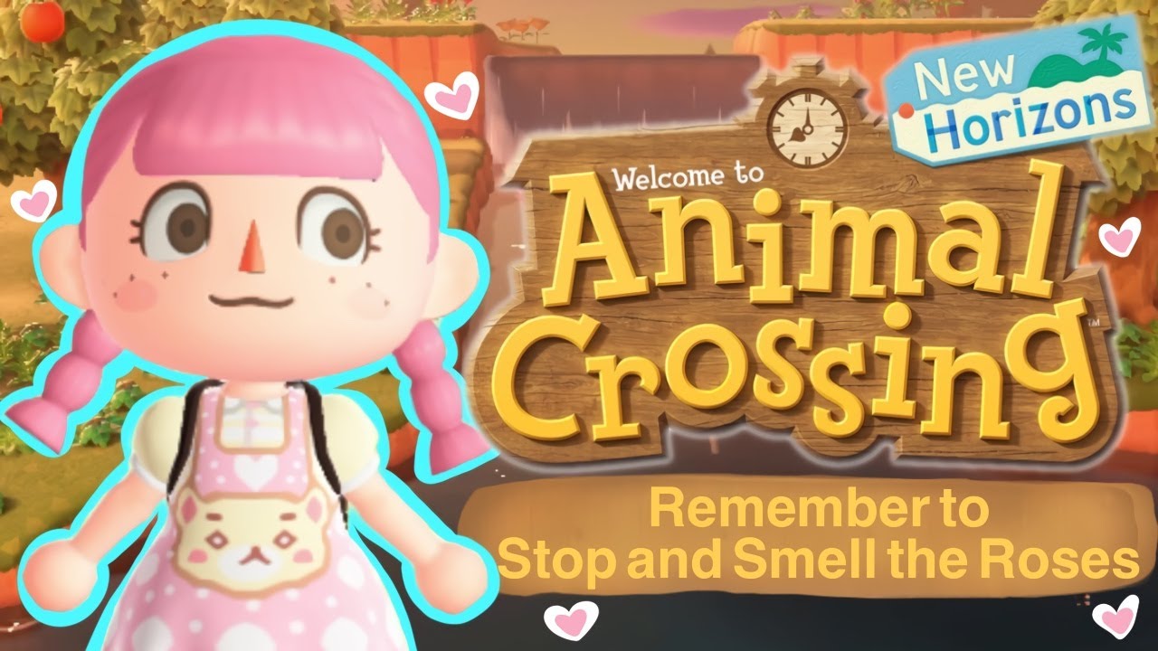 No Time Traveling Allowed Animal Crossing New Horizons YouTube