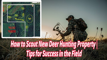 How to Scout New Deer Hunting Property | Tips for Success in the Field