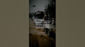 ياسر الدوسري - سورة إبراهيم #القران_الكريم #قرآن