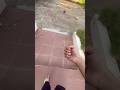 Eshan’s Interpretation of  Real life gangs wars dude adventure #kidsactivities #kidsfun #holidays