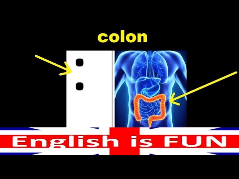 colon | dwukropek vs. jelito grube / okrężnica | angielski @english-is-fun