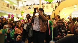 Alpha Kappa Alpha Sorority, Inc., Lambda Rho Chapter Fall 2017