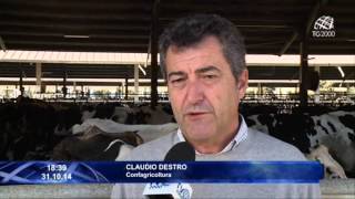 Vasta operazione dei NAS di Cremona: Scoperto traffico illecito di farmaci per bovini.