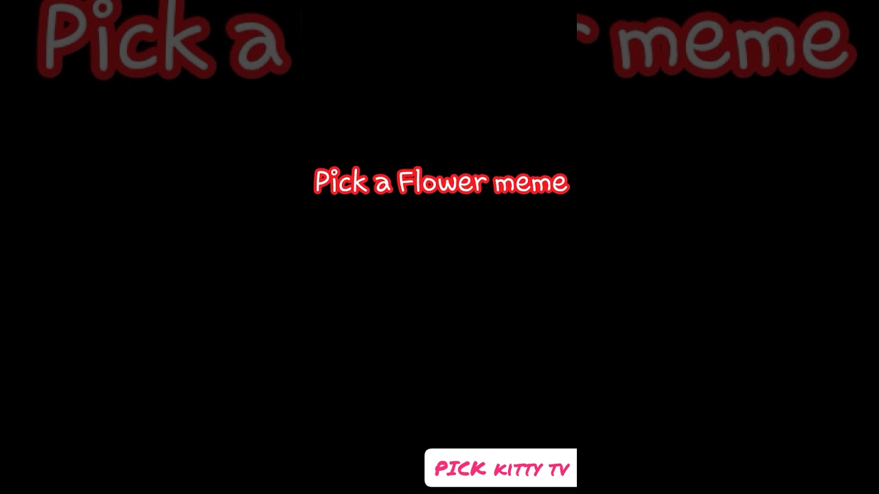 Pick a Flower meme YouTube