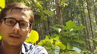 FOREST MENSURATION, STEM ANALYSIS