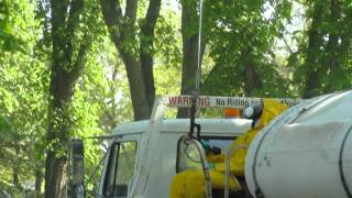 City of Regina spraying for cankerworms May 30, 2012