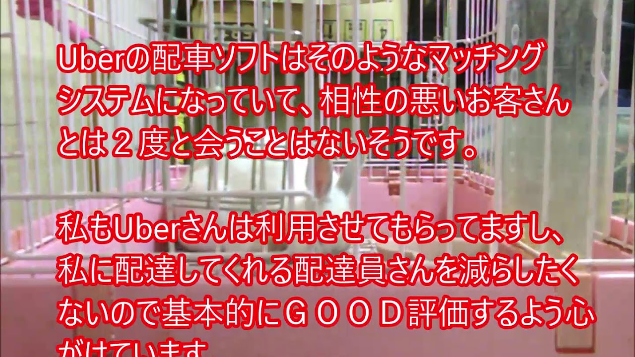 ＢＡＤ評価を貰ったウーバー配達員さん、おめでとうございます 