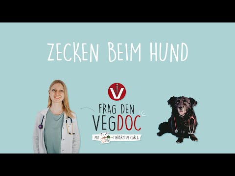 Frag VEGDOC Carla