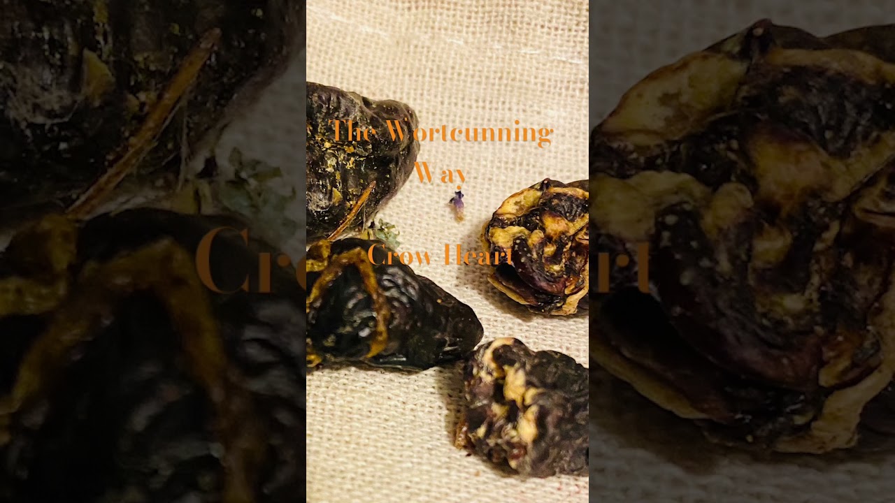 The dried heart of a crow could be worn in a pouch with herbs to act as a conduit 