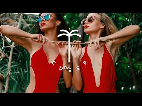 APHn - We Got The Fire (Extended Mix)