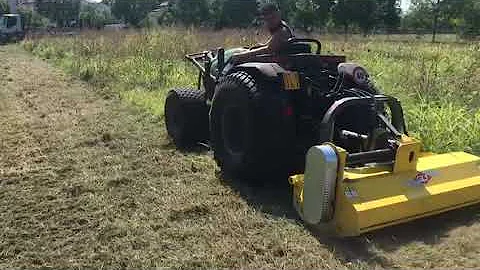 GL1 Trincia erba LINEA 170