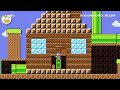 Wario's 99 Coin Challenge! by Chris ✹Wii U✹ No Commentary #dxq
