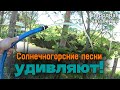 Сказочные пески Солнечногорского района!