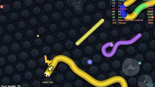 Helix Snake Vs Rolly Worm.lO screenshot 1