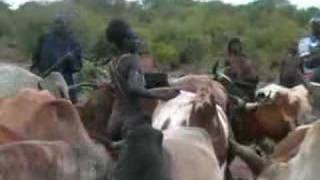 Ethiopia - Bull Jump Ceremony Around Turmi