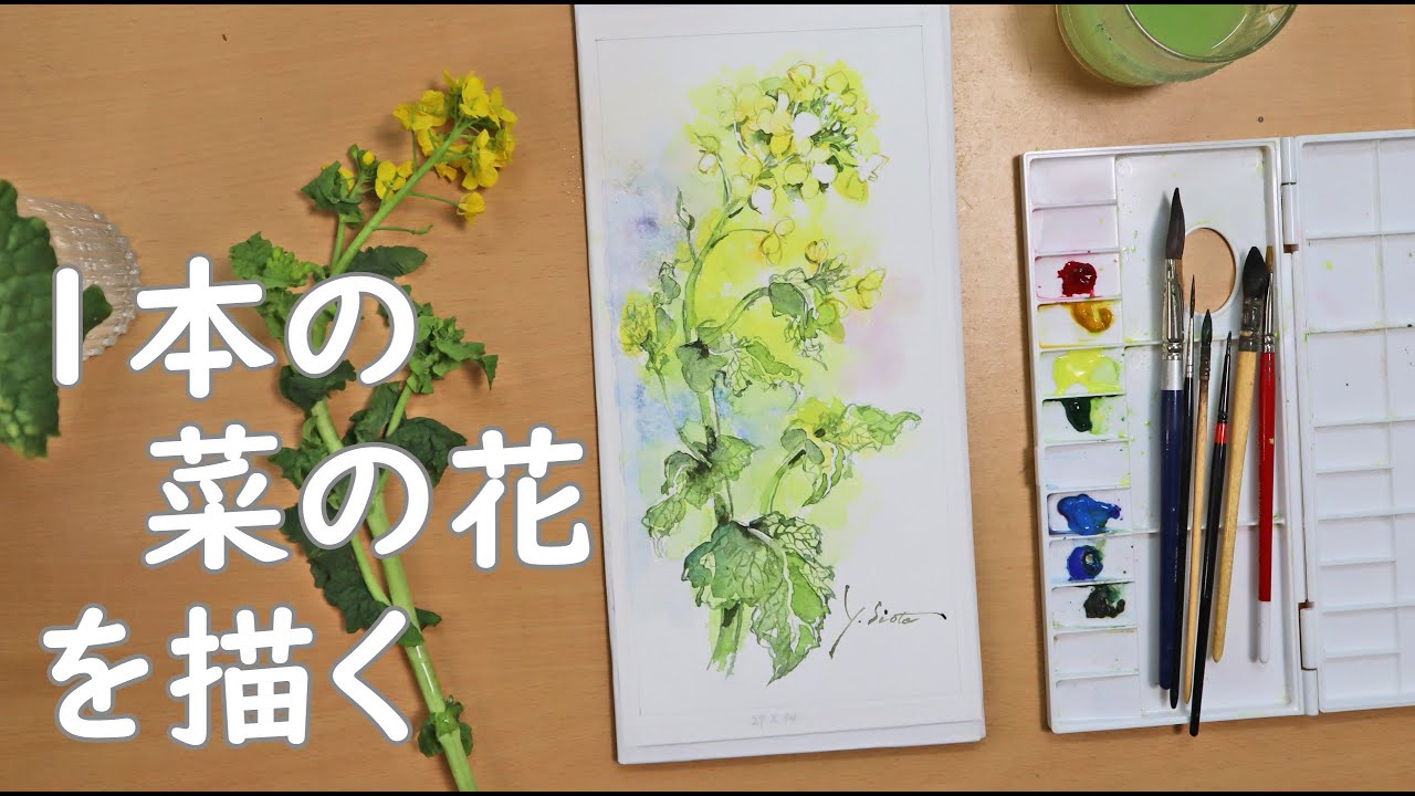透明水彩画】1本の菜の花を描く - YouTube