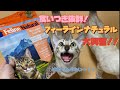 生肉！？猫のごはんはこれで決まり！K9フィーラインナチュラルレビュー