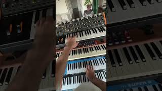 been loving the process of starting with a DMNO arp &amp; seeing where it takes me #synth #keys #studio