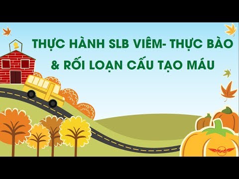 Video Thực hành sinh lý bệnh: Viêm-Thực bào & Rối loạn cấu... - youtube