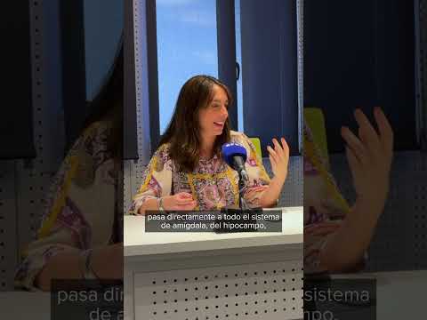 Veranos en pueblo de la infancia: un estímulo cerebral